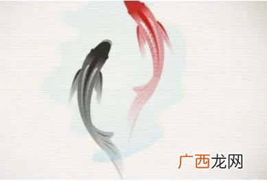 四柱代表什么,四柱中的气是什么意思?