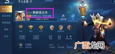 王者荣耀ID名是什么,王者荣耀伤感的id？