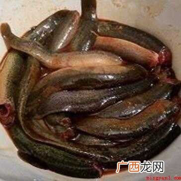 干扁刺鳅鱼怎么做好吃? 刺鳅鱼怎么做好吃