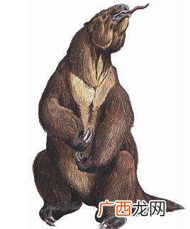 草原大地獭真实存在吗,草原大地獭？