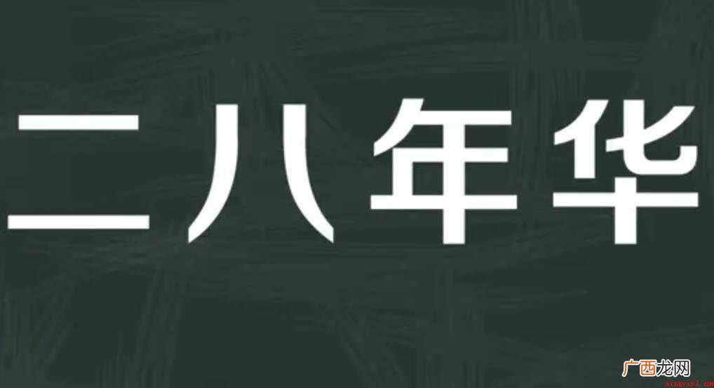 关于二八年华是什么意思 二八年华是什么意思