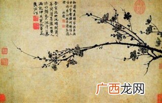 墨梅抒发了王冕什么样的思想感情,墨梅中心思想？
