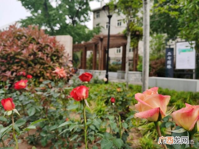 郑州在哪个省份,郑州在中国地图的位置？