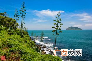 火山岛在福建哪个地方,漳州市区到火山岛路线有吗？