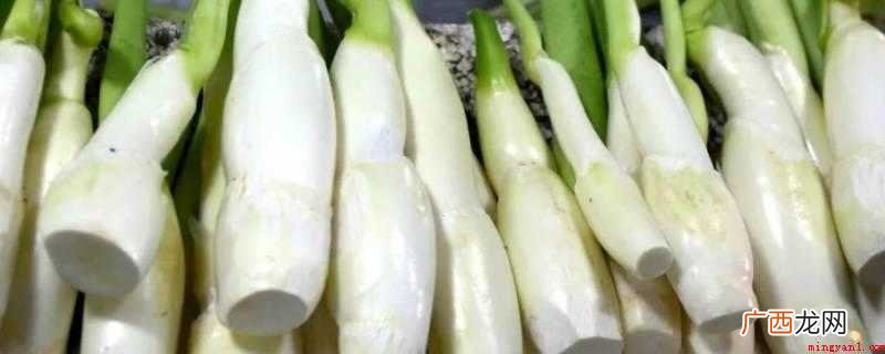 炒茭白要焯水。茭白是一味中药,是禾本科植物的枝干经 炒茭白要焯水吗