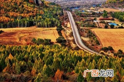 伊春是哪个省的城市,伊春市管辖区域面积在中国和世界的排名?