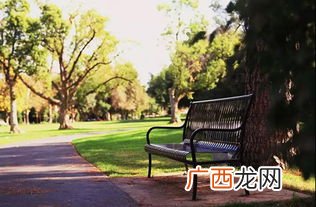 公园英语是什么,the nature park的中文意思是什么？