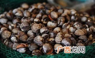 海鲜毛蛤怎么吃,炸串麻辣鲜用哪种？