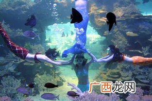 抚顺皇家极地海洋世界冬季营业吗,请问。抚顺皇家极地海洋世界几点开馆。表演的节目都是几点的，要是去那玩几点到比较好？