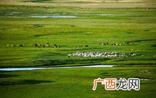 内蒙古四大草原都是那些,世界上的四大草原分别是哪几个？