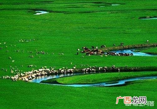 内蒙古四大草原都是那些,世界上的四大草原分别是哪几个？