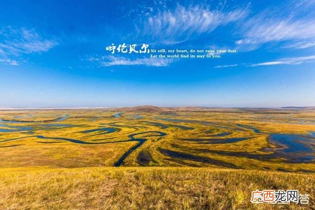 内蒙古四大草原都是那些,世界上的四大草原分别是哪几个？