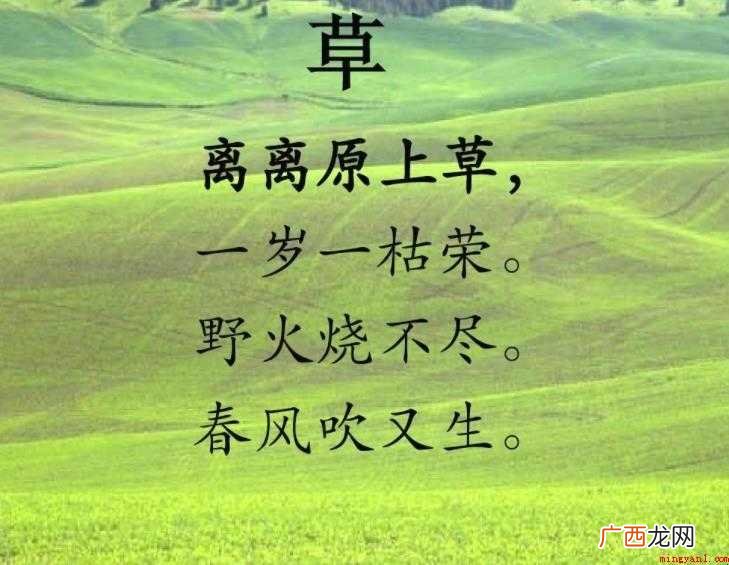 离离原上草离的意思是什么 离离原上草离离的意思是什么