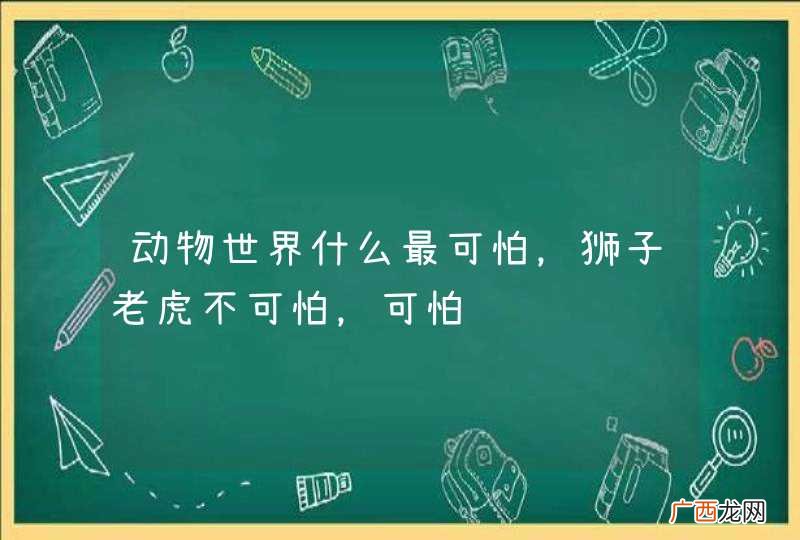 动物世界什么最可怕，狮子老虎不可怕，可怕
