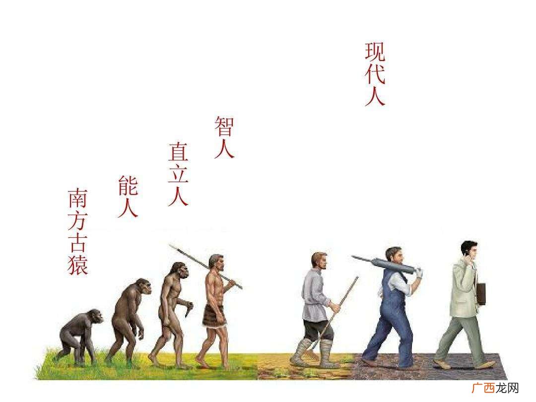 人从哪里来的,人的源头是从哪里来的？