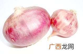 小洋葱和洋葱不是一种洋葱吗,洋葱买大的好还是小好？