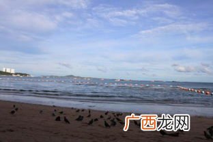 去海边看日出要注意什么,看日出时间和方法？