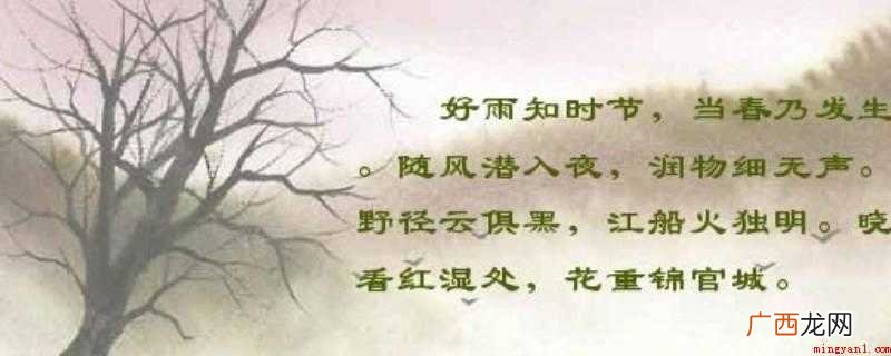随风潜入夜的下一句为润物细无声 随风潜入夜的下一句