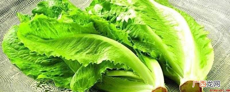 生菜、芽苗菜、白菜、菠菜、生菜 10至30天收成的菜