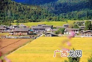 鸡犬相闻是什么意思,鸡犬相识什么意思？