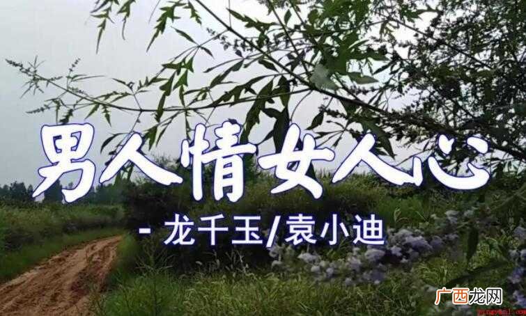 男人情女人心的歌词是什么 《男人情女人心》的歌词是什么