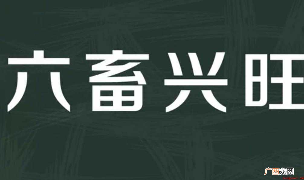 六畜兴旺的意思是什么