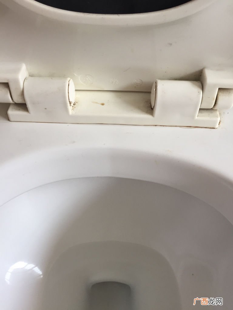 坐便盖怎么拆卸,如何取下带连接的坐便水箱盖？