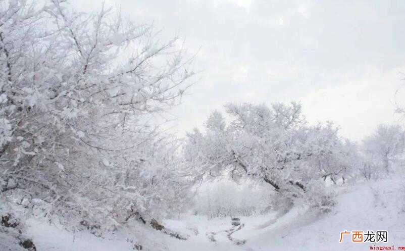 阳春白雪的意思是什么