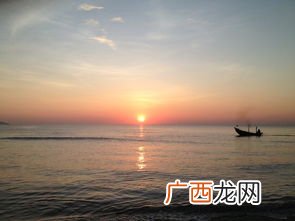 圆圆的太阳就像什么,橘子圆圆的黄黄的就像小太阳造句？