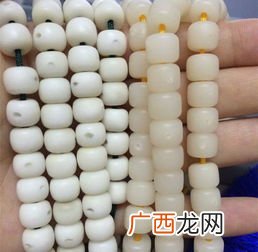 白玉菩提和菩提根哪个贵,论白玉菩提和菩提根的区别？