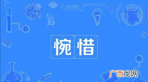 婉惜和惋惜的意思有什么不同,痛惜与婉惜有什么区别？