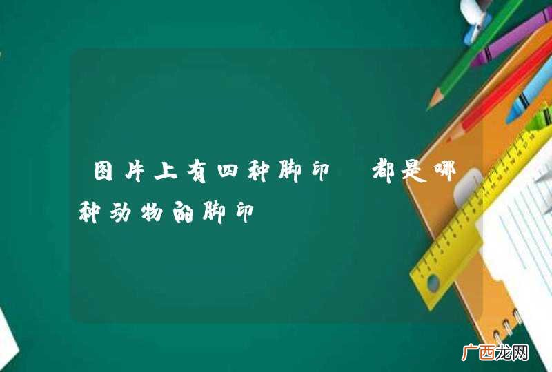 图片上有四种脚印，都是哪种动物的脚印？