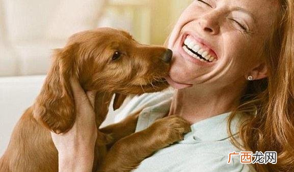 添狗是什么意思,舔狗啥意思简单易懂的介绍？