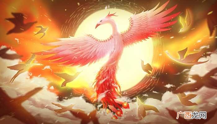 梦见一对金凤凰飞进我家里代表什么