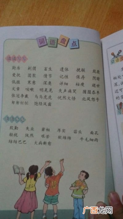 单元是什么意思,单元数量是什么？