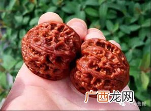什么叫秋子核桃图,麻核桃秋子什么意思？