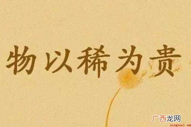 物以稀为贵是什么意思