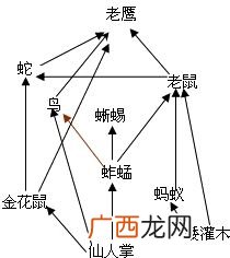 食物链包括哪些成分,食物链由生态系统中什么成分组成它们之间是什么关糸？
