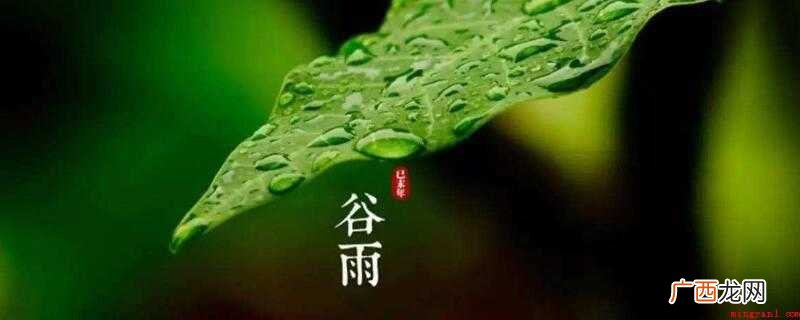 二十四节气歌:春雨惊春清谷天,夏满芒夏暑相接 二十四节气歌