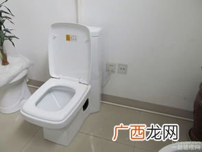 电动马桶有哪些优点,上电池的电动助力马桶优缺点？