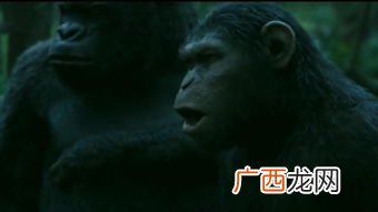魂不附体什么意思,失落灵魂近义词有哪些？