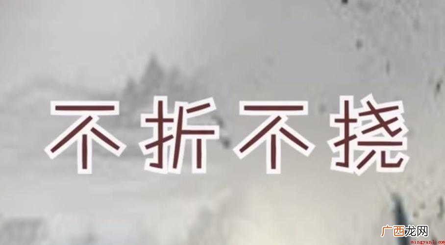 不折不挠的意思是什么