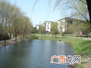 杭州市转塘镇在什么地方,随便给个杭州详细地址？