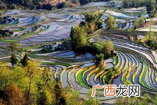 哈尼族梯田的特点有哪些,元阳梯田的地理意义？