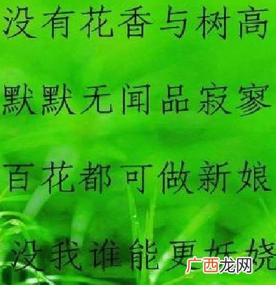 野火烧不尽春风吹又生是哪首古诗,野火烧不尽全诗？