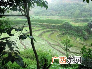 耕田是什么季节,犁地是什么季节？