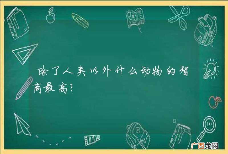 除了人类以外什么动物的智商最高？