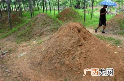 坟头最怕埋什么,坟下用红纸有什么用?