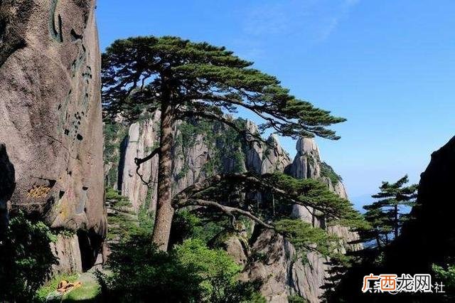 迎客松在黄山的哪个位置,迎客松的来历和由来？
