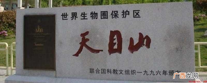 浙江天目山国家自然保护区 天目山在哪里